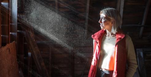 A woman standing in the sunlight that is seeping through some cracks in the attic