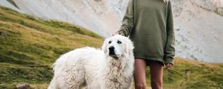 A woman and her dog hiking in the mountains.