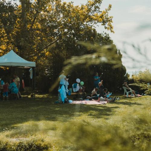 A party is happening in the distant of the picture, with a party tent and balloons. The party is taking place in a big green field.
