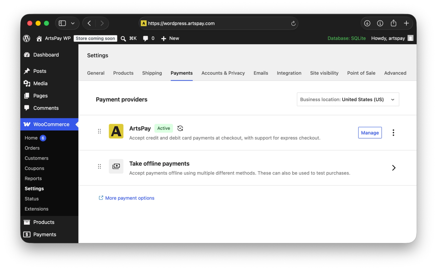 WooCommerce Payment Settings for ArtsPay