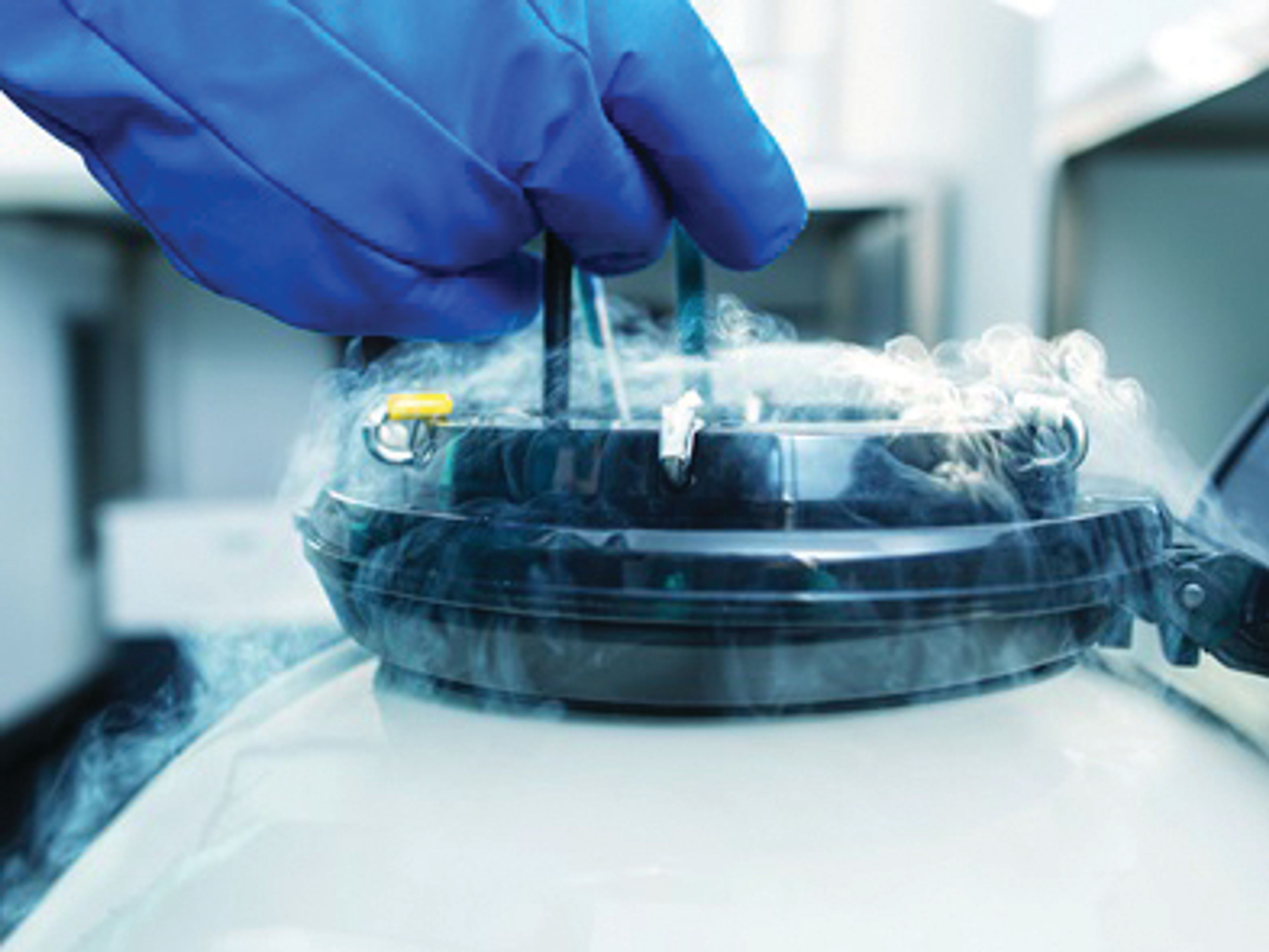 Sample Storage in test-tube laboratory - Egg freezing process