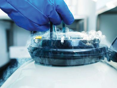 Sample Storage in test-tube laboratory - Egg freezing process