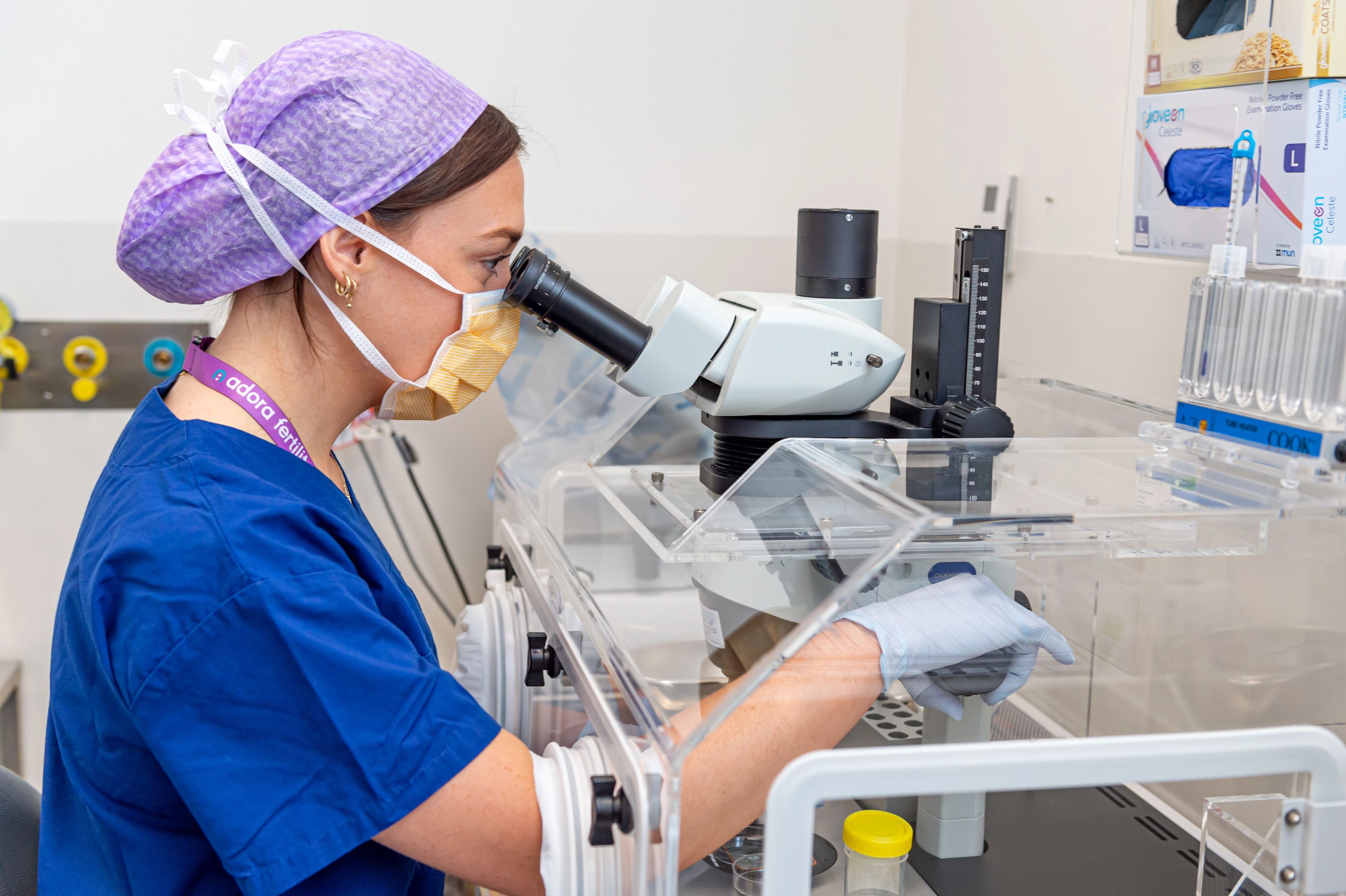 Scientist views embryos under a microscope