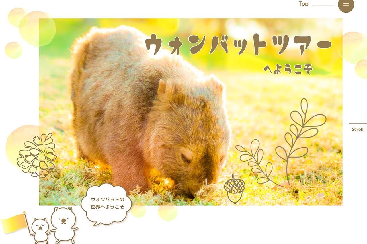 ウォンバットツアーへようこそ
