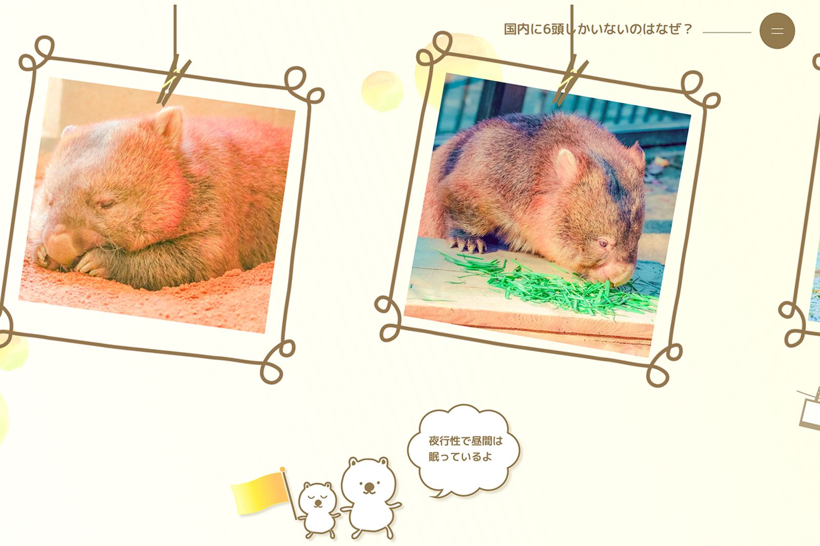 ウォンバットツアーへようこそ