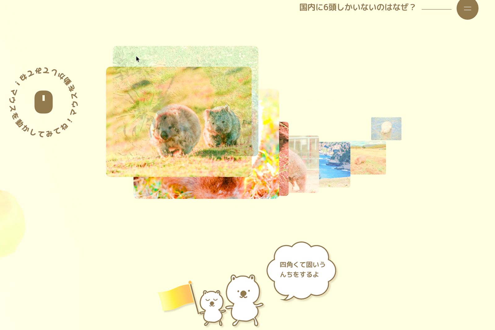 ウォンバットツアーへようこそ