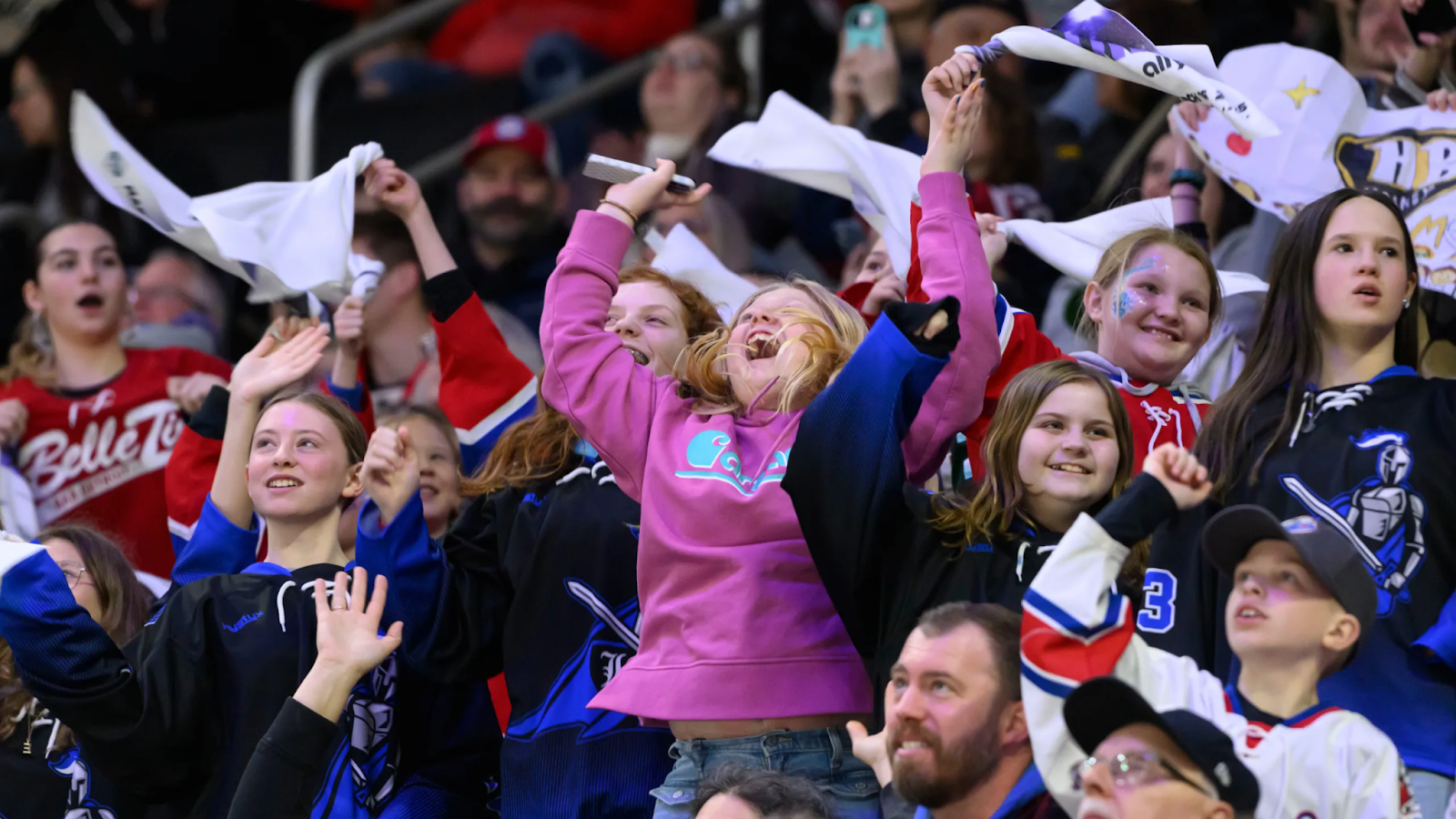 Ally, Scripps Sports partner to present PWHL Detroit game for national audience on Ion