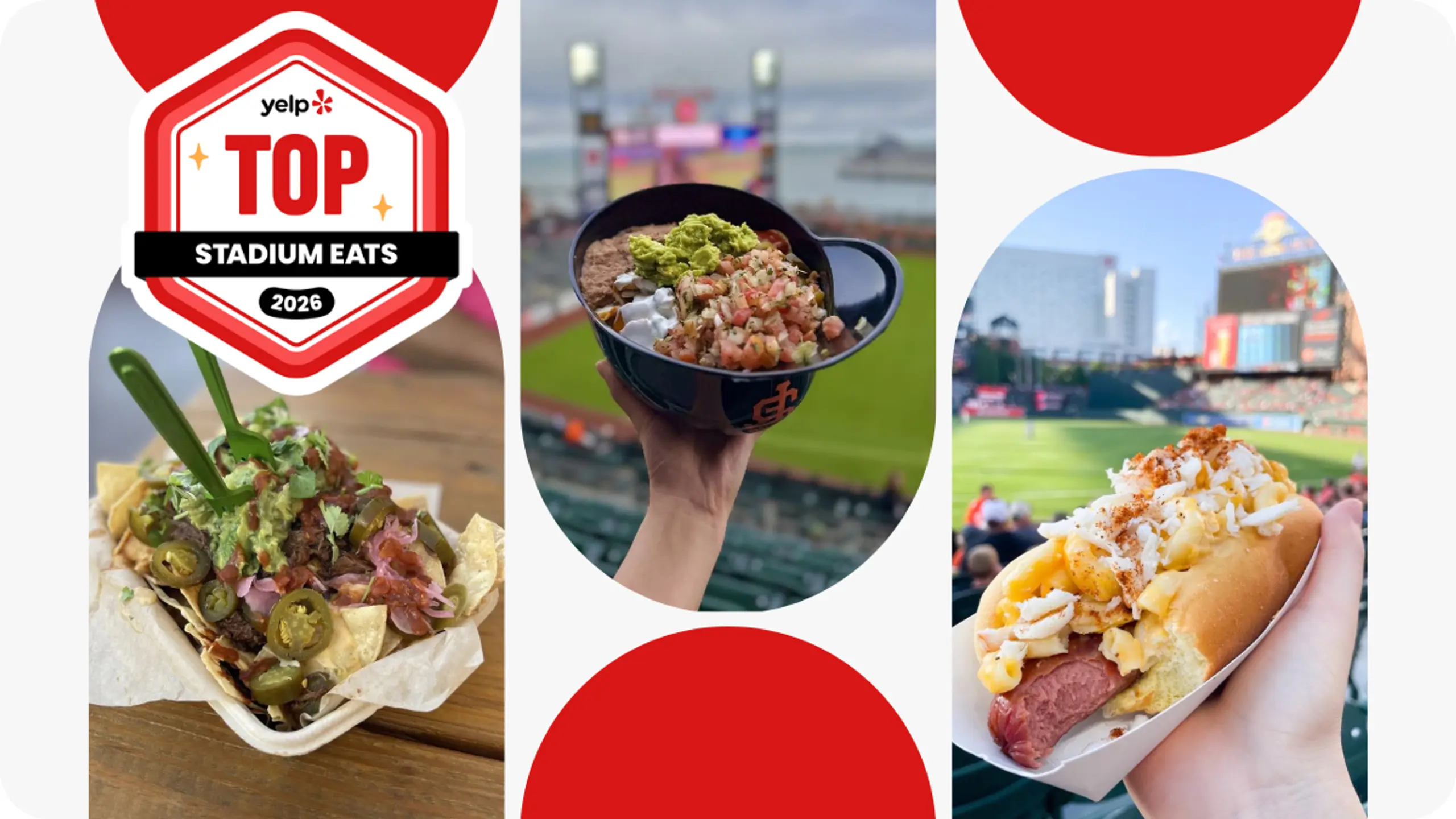 Alt text: A stadium food graphic.