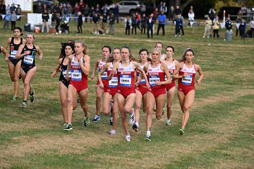 NCAA Division I cross country and field hockey national championship previews