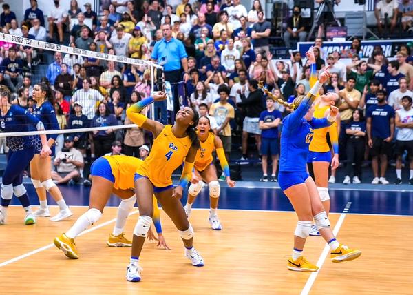 Pitt women’s volleyball extends a 12-match sweep streak