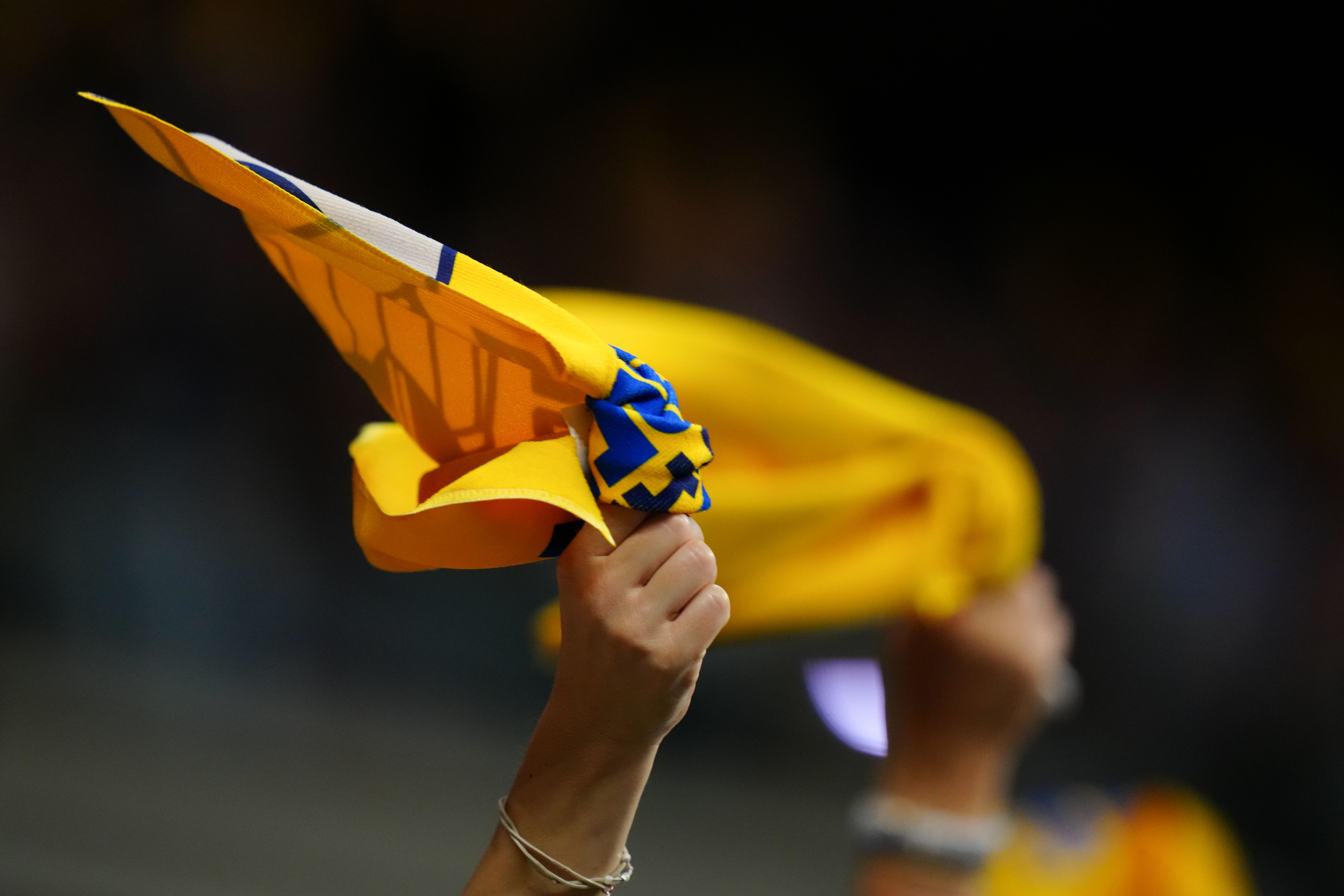 Fans twirling yellow and blue rally towels in the air