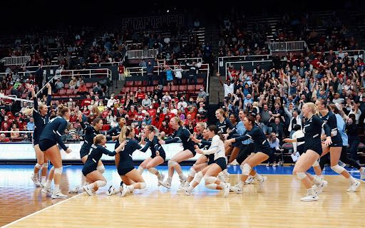 NCAA Women’s volleyball final four preview