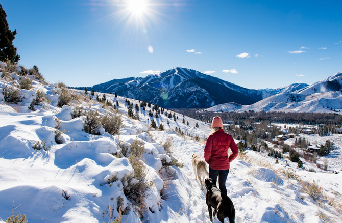 Woman walking her dogs through the snow