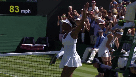 Wimbledon Preview
