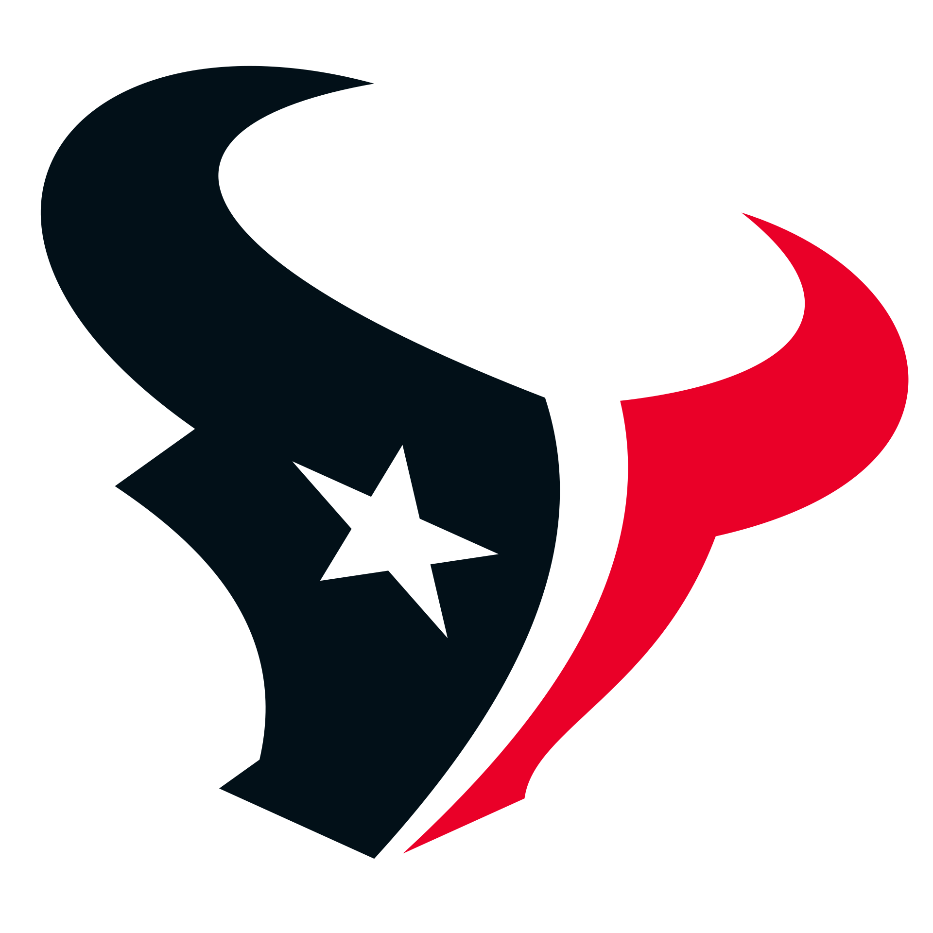 Houston Texans