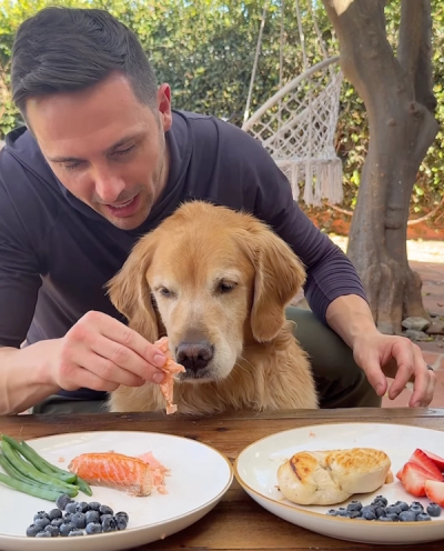 One plate for Seattle. One Plate for New England.