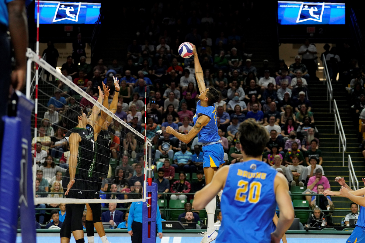 How NCAA men's volleyball works