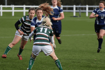 Rugby