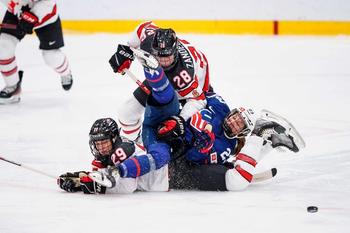 🏒 World Hockey Championship