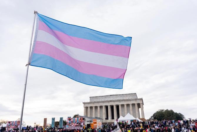 A person waves a transgender pride flag during the People's March.