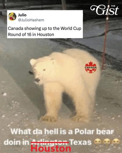 Canada has a lot to be proud of. 🤩
