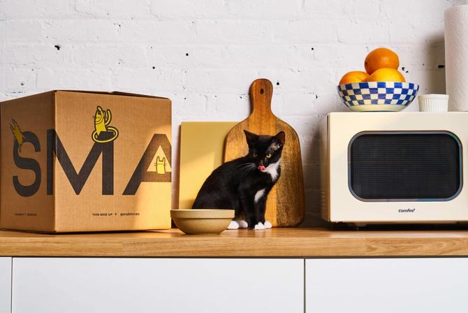 A black and white cat licks its lips while sitting on a countertop with a bowl and boxes of Smalls cat food.