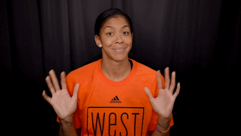 WNBA Playoff Preview
