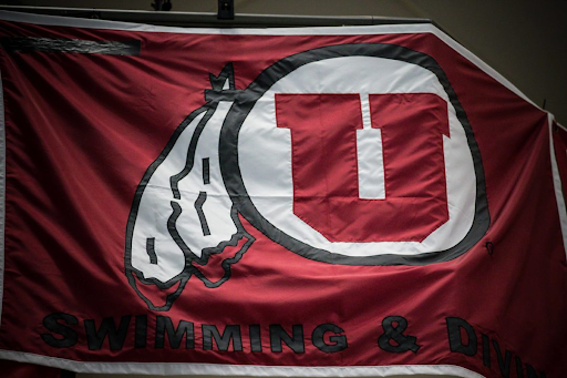 Utah sophomore diver arrested and charged with three felonies