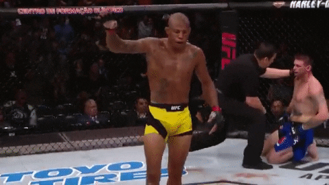 Guide to MMA