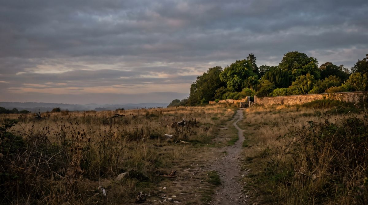 Featured image for the article “The Field Outside Eden” (Scripture).