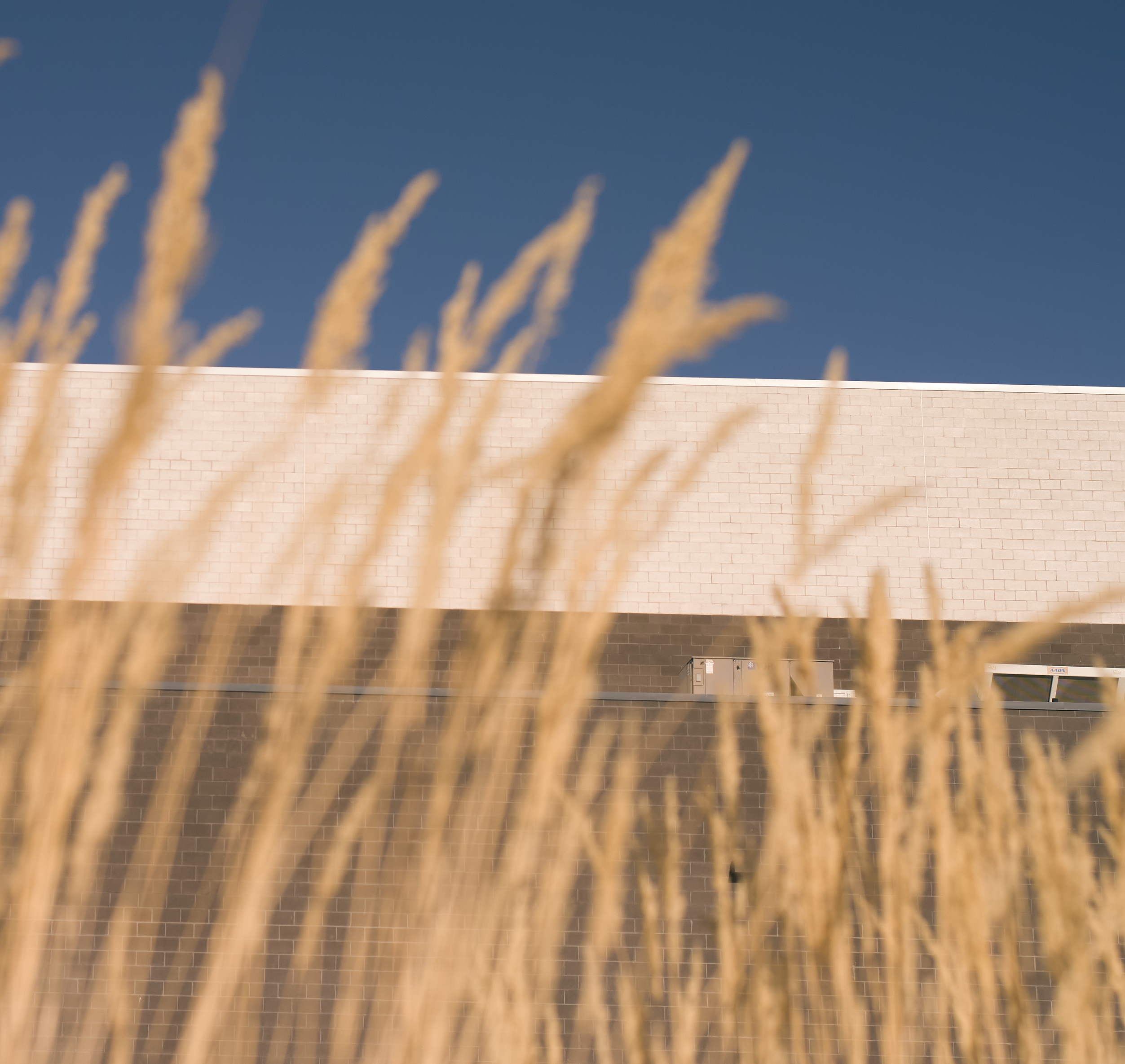 Early Light Academy Auditorium - Gallery image 6