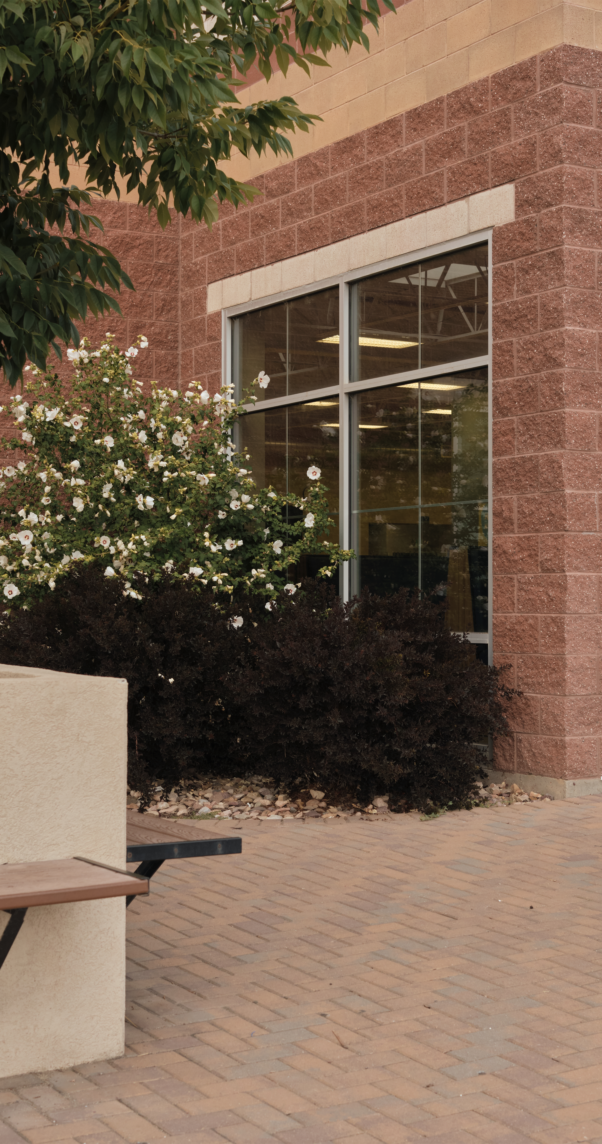 Freedom Preparatory Academy - Gallery image 5