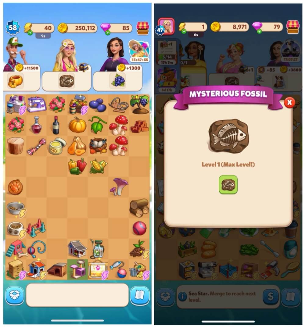 mysterious fossil travel town