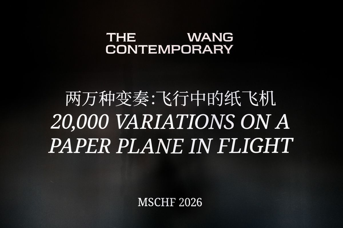 20,000 VARIATIONS ON A PAPER PLANE IN FLIGHT gallery image 2
