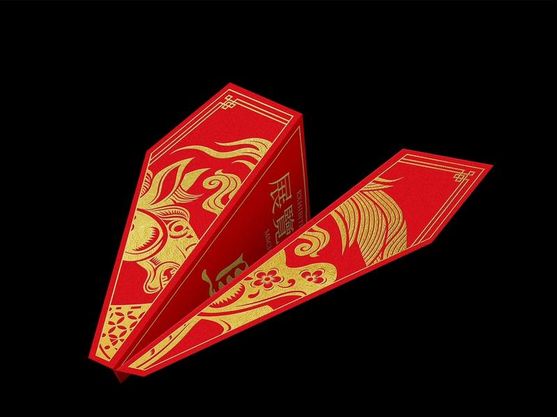 20,000 Variations on a Paper Plane in Flight