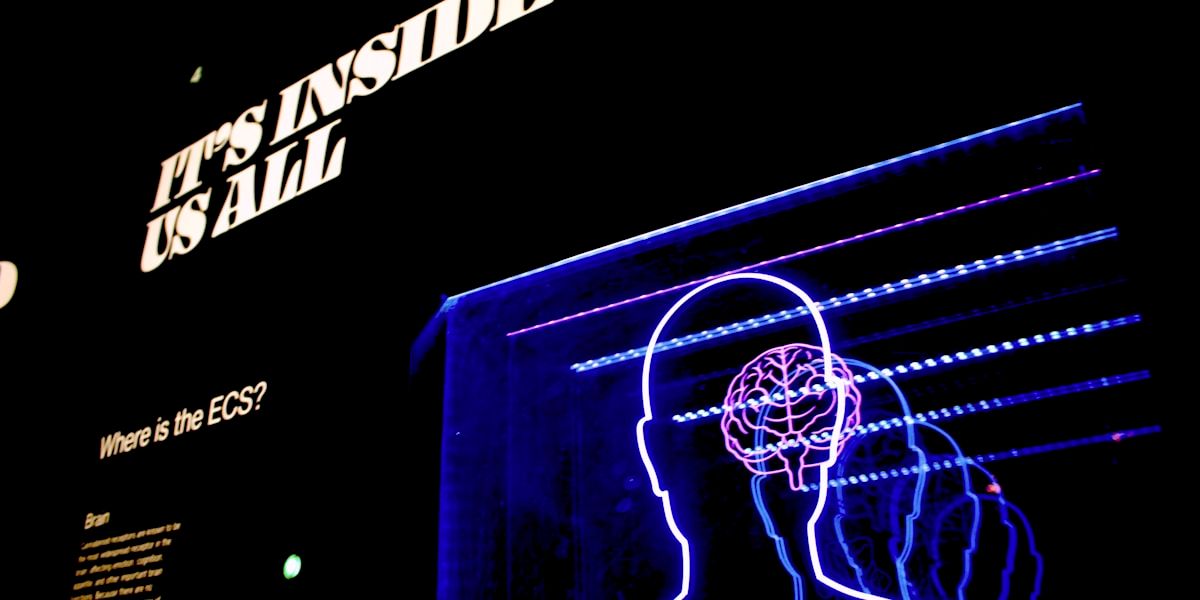 Imagem com um símbolo do cérebro remetendo à um espaço dedicado a psicologia