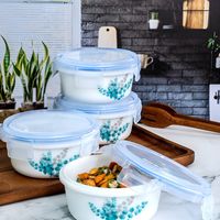 Cello Opal Glass 4 Pieces Printed Storage Container Set - 3