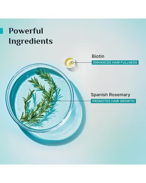 PILGRIM Spanish Rosemary And Biotin Anti-Hairfall Conditioner For Reducing Hair Loss - 3