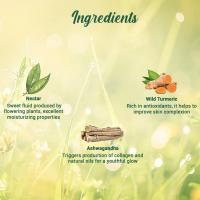 BIOTIQUE Morning Nectar Flawless All Skin Types Moisturizer - 3