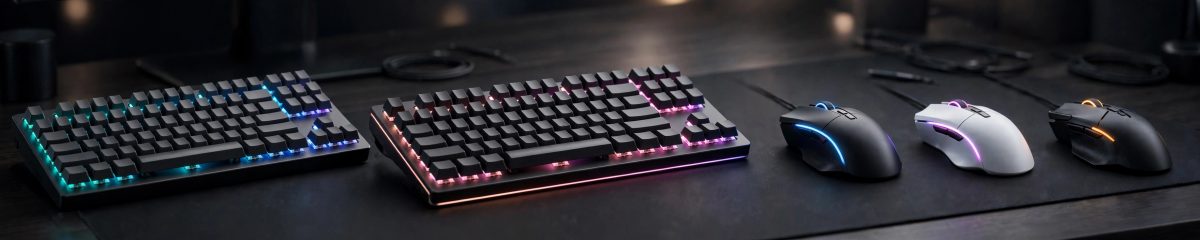 Keyboards & Mouse
