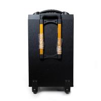 Takara Karaoke Speaker Trolley 12 Inch Woofer Portable - 5