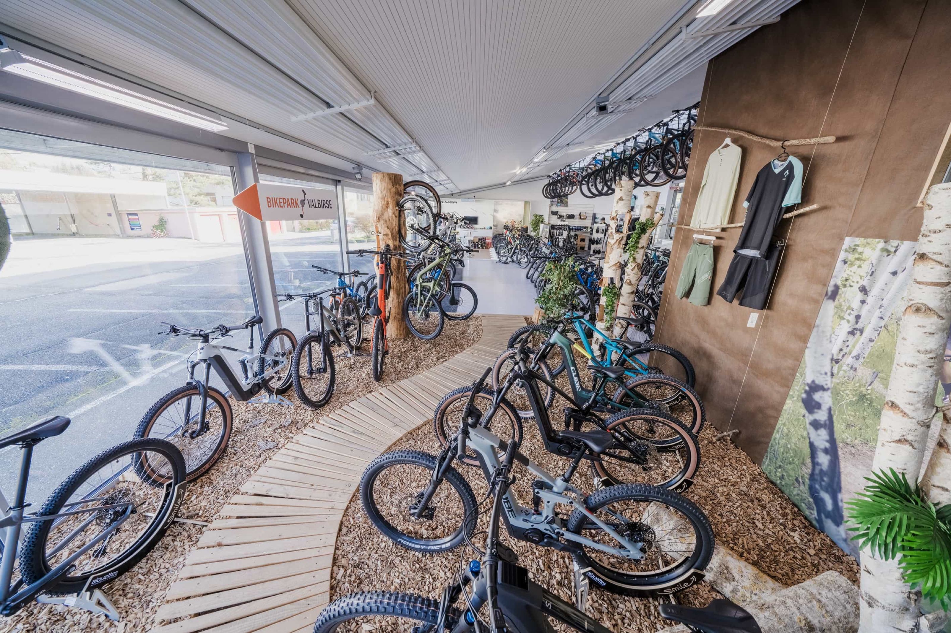 Alouettes Cycles: Verkaufsraum eines Fahrradgeschäfts mit Bikes auf Kiesbeeten und Birkenstämmen als Raumteiler