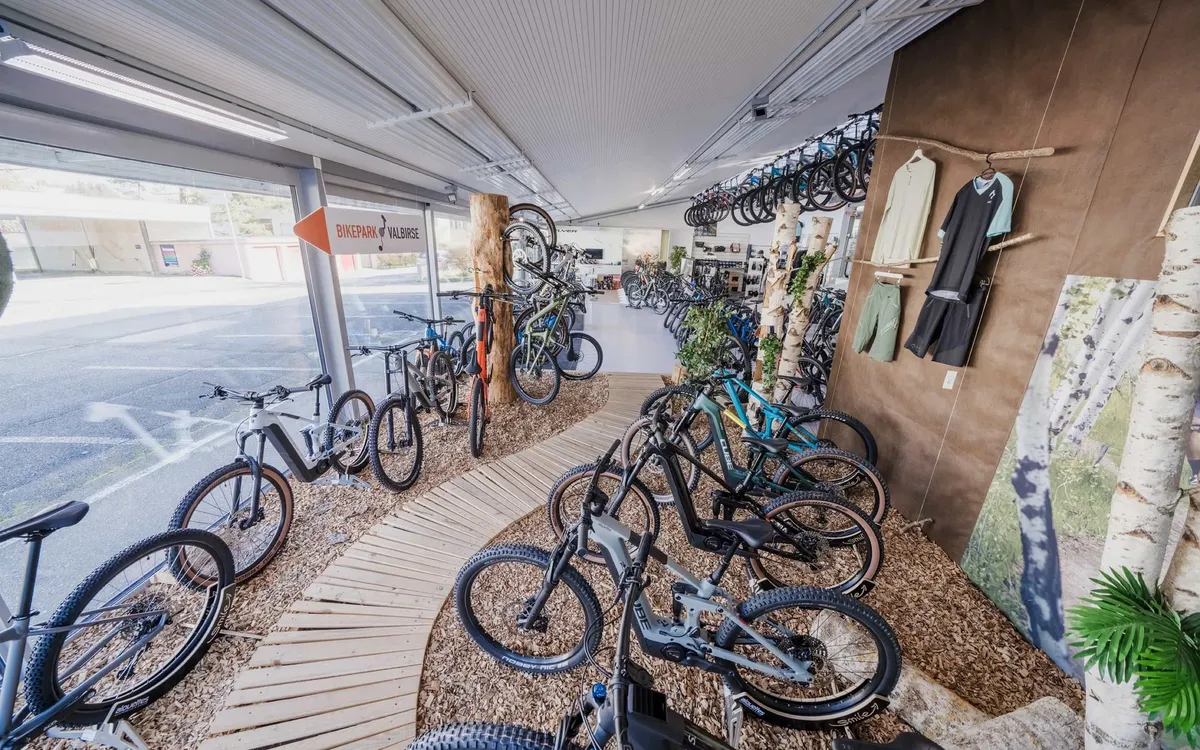Alouettes Cycles: Verkaufsraum eines Fahrradgeschäfts mit Bikes auf Kiesbeeten und Birkenstämmen als Raumteiler