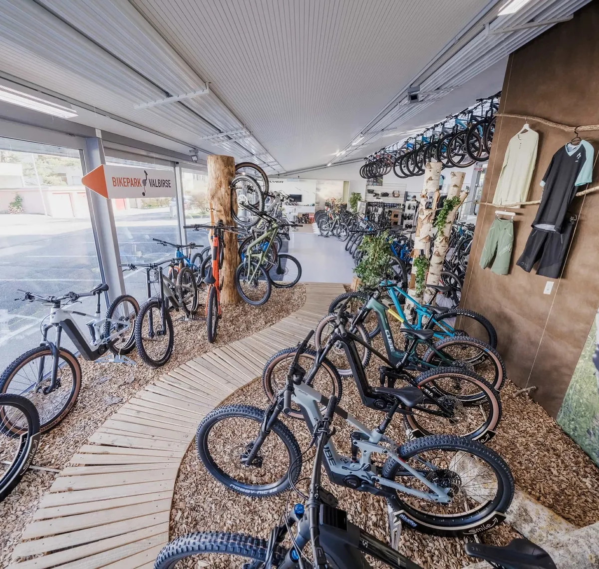 Alouettes Cycles: Verkaufsraum eines Fahrradgeschäfts mit Bikes auf Kiesbeeten und Birkenstämmen als Raumteiler