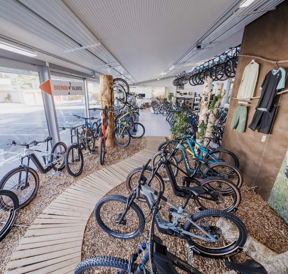 Alouettes Cycles: Verkaufsraum eines Fahrradgeschäfts mit Bikes auf Kiesbeeten und Birkenstämmen als Raumteiler