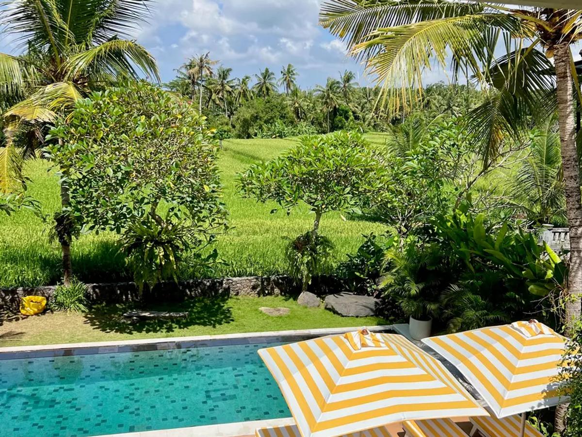 Contemporary Sactuary Framed By Nature - 3