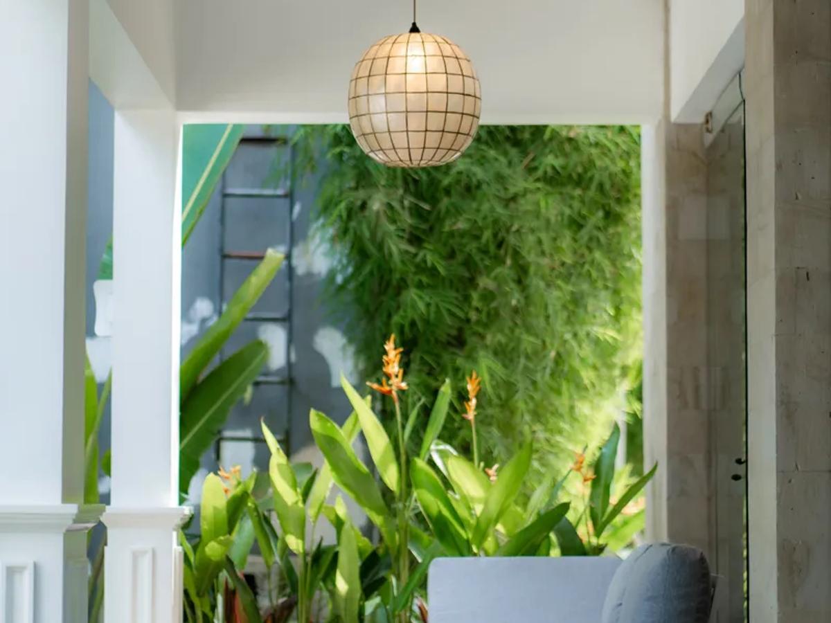 Contemporary Sactuary Framed By Nature - 10