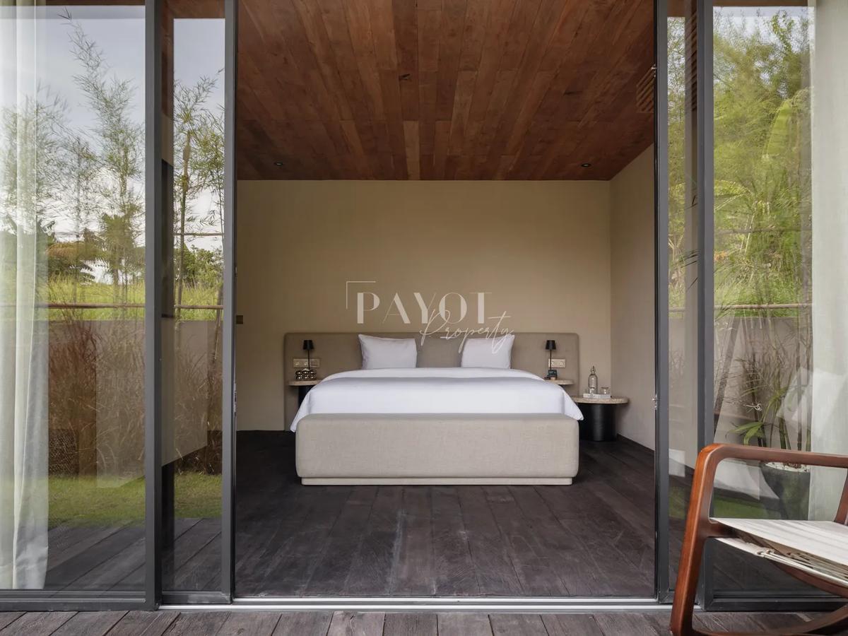 Raw Elegence By The Rice Fields - 13