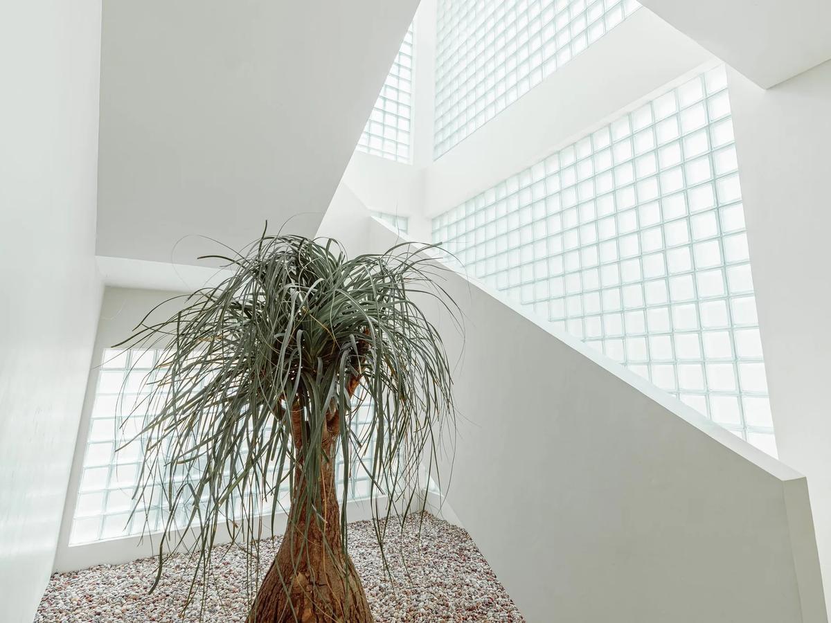 OCEAN VIEW VILLA NEXT TO DREAMLAND BEACH - 4 BEDROOM - BINGIN - Photo 11