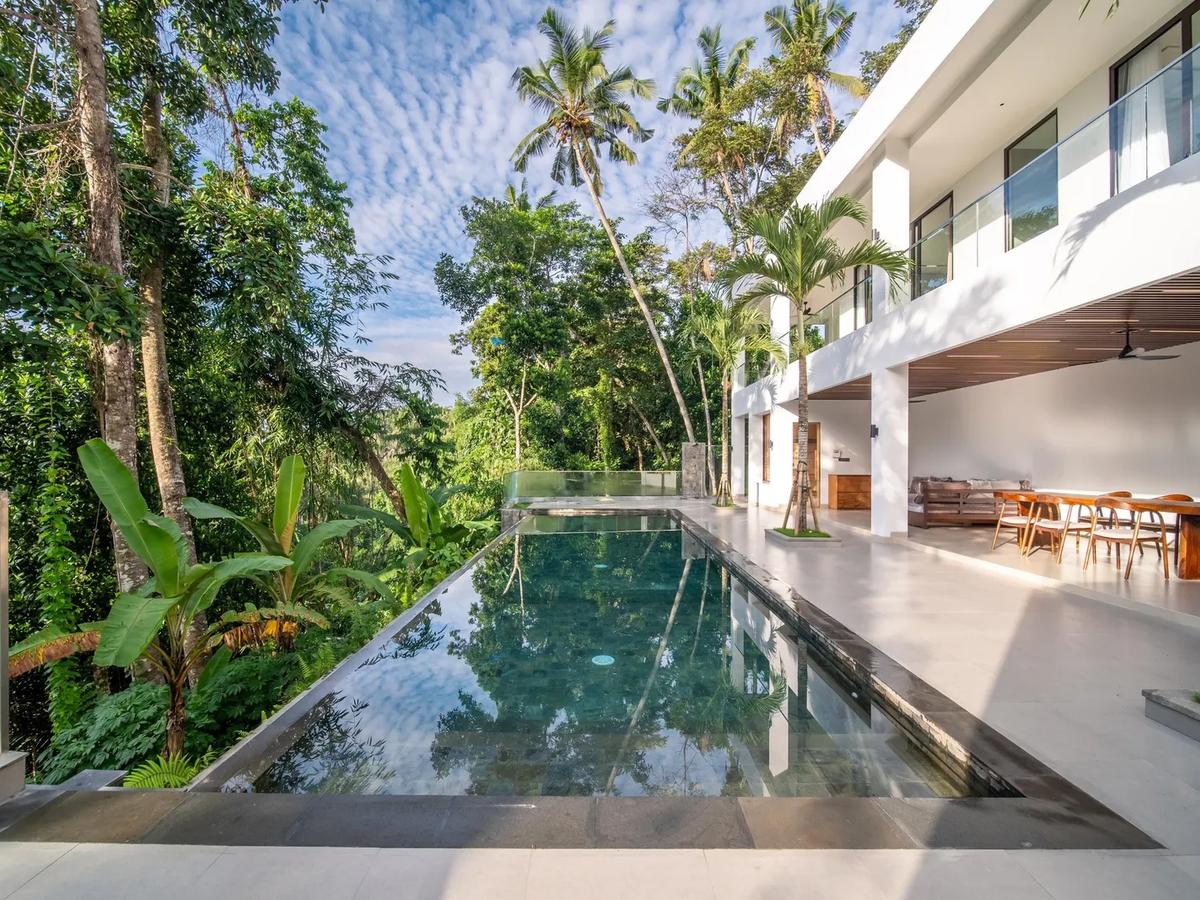 Stunning Jungle Villa - 1